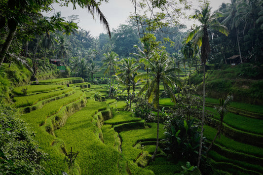 Embarking on an Indonesian Adventure: A Health-Conscious Traveler's Guide to Bali Bliss!